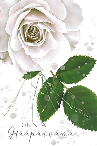 Pakettikortti hää Annika Nykänen
