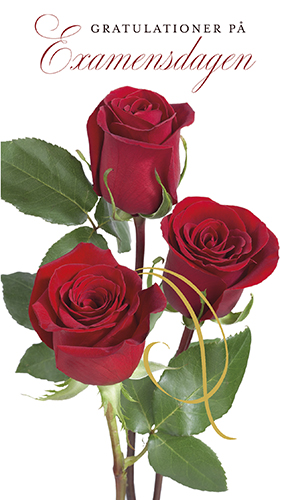 2-os valmistuminen R