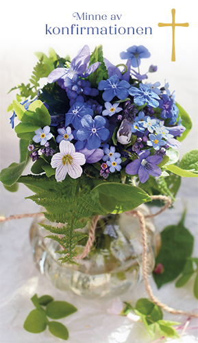 2-os rippi R folioristi