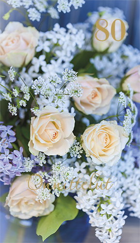 2-os vuosikortti 80v