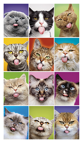 2-os hupikortti Avanti