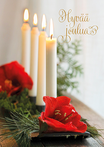 1-os joulu Sari Savela