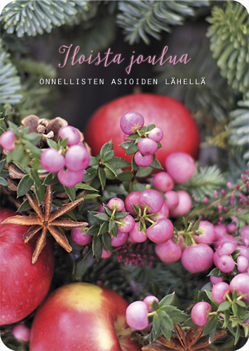 1-os joulu Ilona Pietiläinen