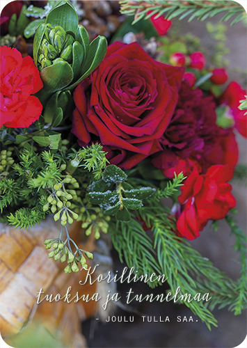 1-os joulu Ilona Pietiläinen