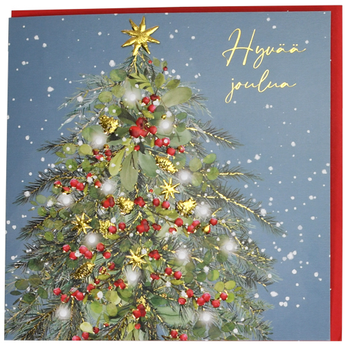 2-os joulu GB neliökortti