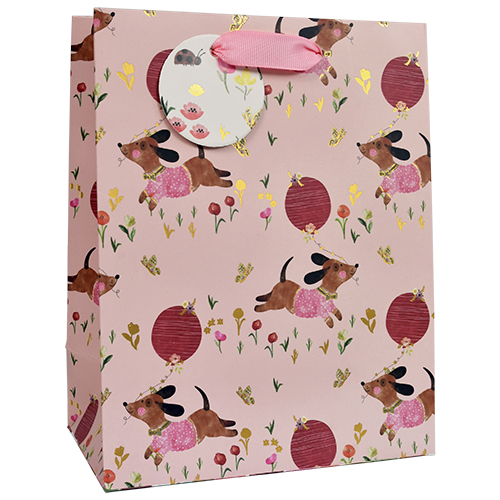 Lahjakassi M/D koirulit