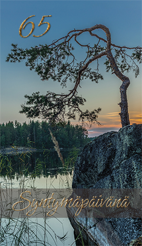 2-os vuosikortti 65v