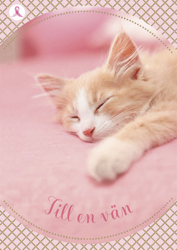 1-os ystävänpäivä R Roosa nauha PMM Hallmark