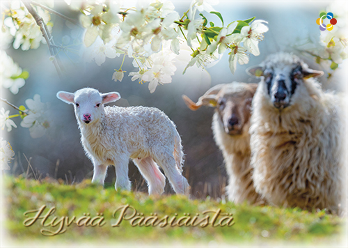 1-os pääsiäinen Syöpäpotilaat PMM