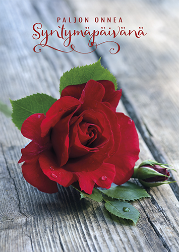 1-os syntymäpäivä