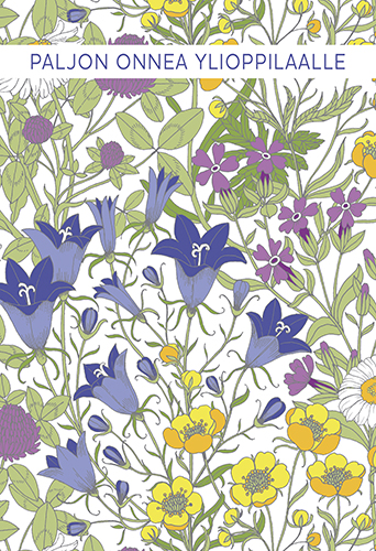 2-os ylioppilas Vallila Ahomaa