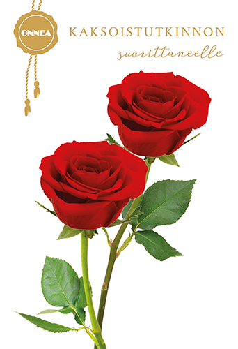 2-os Kaksoistutkinto