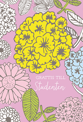 2-os Ylioppilas R Merja Palin