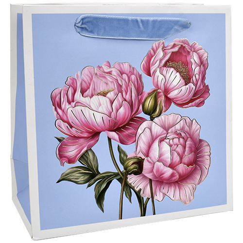 Lahjakassi S/D pionit