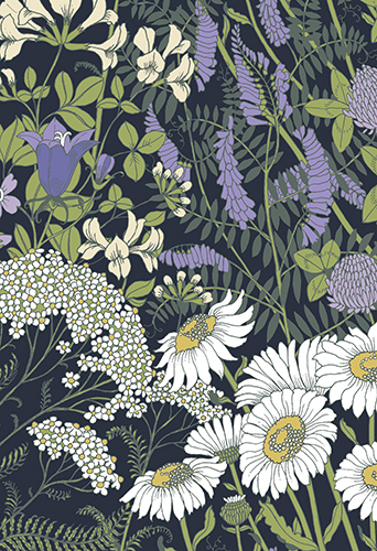 2-os kortti Vallila Ahomaa sininen