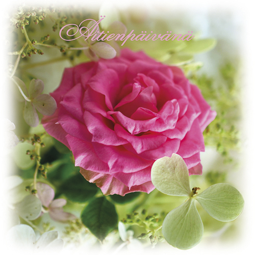 2-os äitienpäivänä neliökortti Kati Pekkarinen