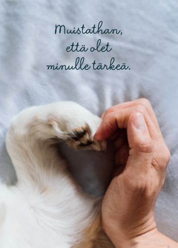 1-os kortti Mieli ry