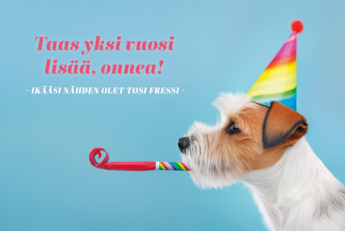 2-os syntymäpäivä