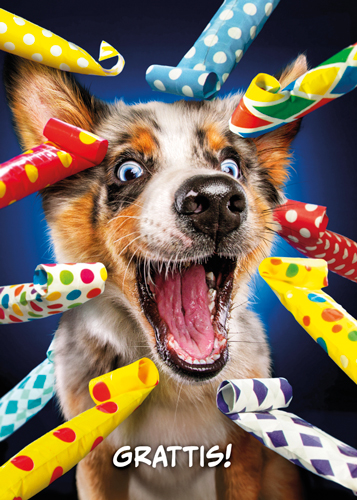 1-os hupikortti R Avanti