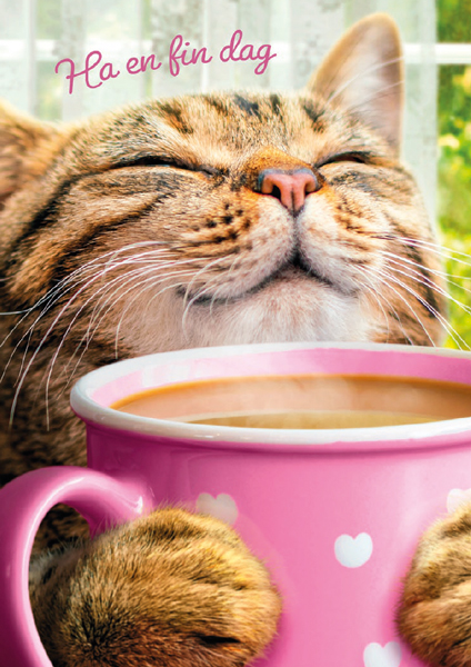 1-os hupikortti R Avanti