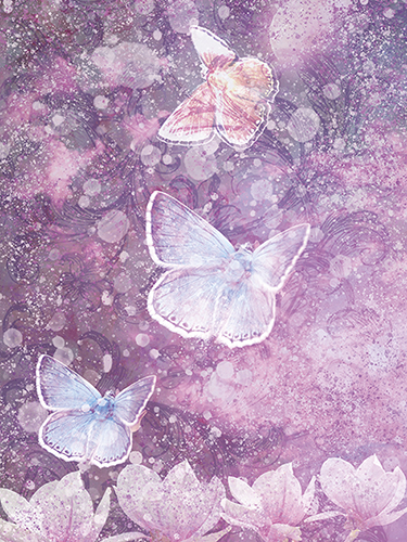 Juliste 60x80cm Perhoset