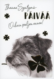 [4904389] 2-os kortti