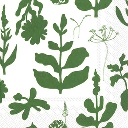 [L936920] ELOKUUN VORJOT green 33cm