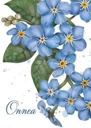 [2725366] 1-os kortti Annika Nykänen