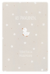 [2250059] 2-os vauvakortti