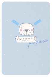 [2240202] 2-os kastekortti poika