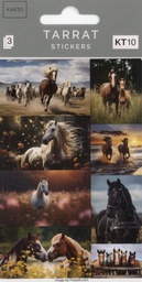 [351254] Tarra KT10 hevoset