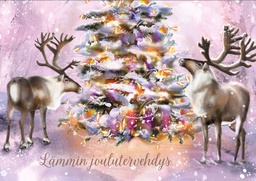 [117855] 1-os joulu Mainelakeus