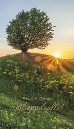 [27P4084] 2-os ylioppilas