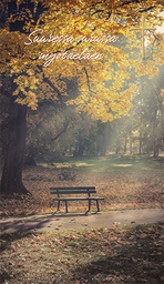 [1905681] 2-os osanotto