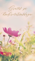 [23P7055] 2-os rippi R