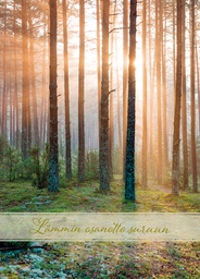 [670005] Suruadressi Salo Roosa nauha