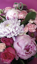 [1770093] 2-os vuosikortti 70v