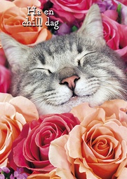 [3910149] 1-os hupikortti R Avanti