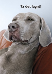 [3910151] 1-os hupikortti R