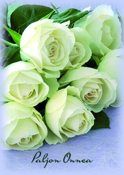 [2742383] 1-os kortti