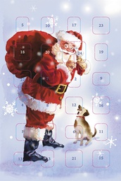 [315332] Joulukorttikalenteri Hallmark A6