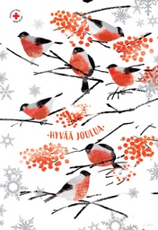 [29271] 2-os joulu SPR hyv tek Kaisa Rekinen