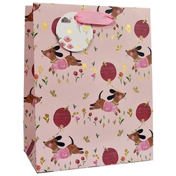 [6631062] Lahjakassi M/D koirulit