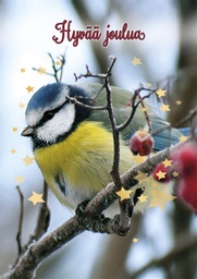 [117992] 1-os joulu Kati Pekkarinen