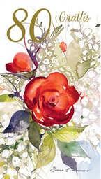 [17P99941] 2-os vuosikortti R 80v Minna Immonen