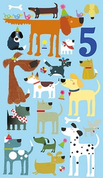 [2815106] 2-os vuosikortti 5v poika