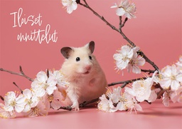 [475P0130] 1-os eläinkortti