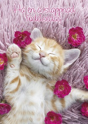 [2570045] 1-os syntymäpäivä R