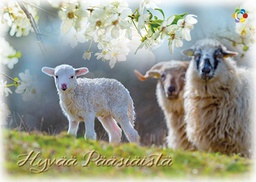 [162431] 1-os pääsiäinen Syöpäpotilaat PMM