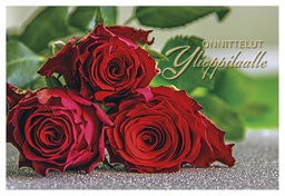 [245297] 2-os Ylioppilas setelitasku 